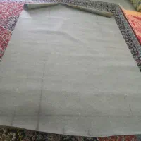 موکت ضخیم