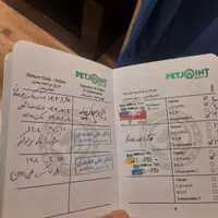 سگ با نژاد چاوچاو بلک با کلیه لوازم|سگ|تهران, نارمک|دیوار