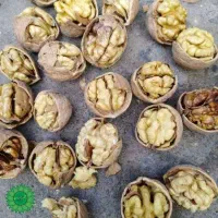 ۵ کیلو گردو مغز سفید زر پوست خشگ