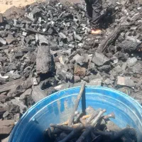 فروش زغال کبابی