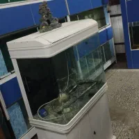 ساخت و نصب آکواریوم در ابعاد دلخواه
