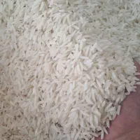 به یک نفر همکار در برنج برکت نیازمندیم