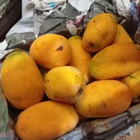 انبه صندوق سوپر گلاب کیلویی 200