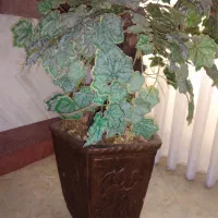 گلدون با گل بلند|گل مصنوعی|ساری, |دیوار