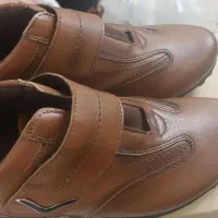 دو جفت کفش نو|کیف، کفش، کمربند|کرج, عظیمیه|دیوار