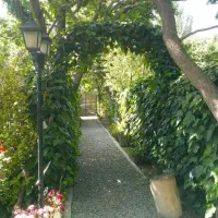 نیازمند کارگر برای باغ رستوران