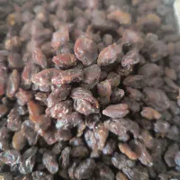 کشمش مویز|عمدهفروشی|ری, ملکآباد|دیوار