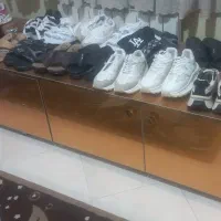 مزون