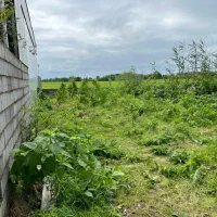 زمینی کلنگی، ۲۰۱ متر مربع|فروش زمین و ملک کلنگی|کیاشهر, |دیوار