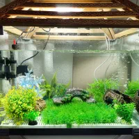 فروش آکواریوم درجه ۱ با تجهیزات کامل