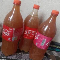 ابغوره تازه ترش دانه ای 140