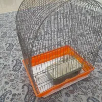 قفس مرغ عشق سالم