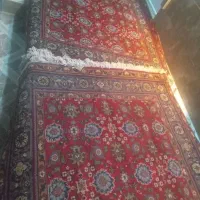 فرش|فرش|صوفیان, |دیوار