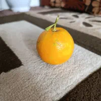 میوه نارنج آبدار|عمده‌فروشی|بندر انزلی, نوغان|دیوار