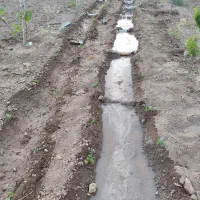 باغچه دنج|فروش دفتر صنعتی، کشاورزی، تجاری|قم, بکایی|دیوار
