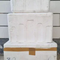 یخدان ( جنس یونولیت )
