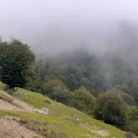 فروش خط ۰۹۱۲۶۶۶۶۱۱۴