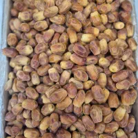 خرما زاهدی|خوردنی و آشامیدنی|قم, شهرک سازمان آب|دیوار