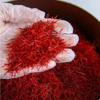 تولید وپخش عمده انواع زعفران خراسان(فله،بسته بندی)|عمده‌فروشی|شیراز, نصر|دیوار