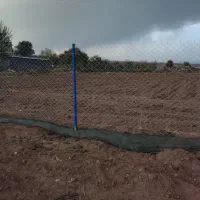 فنس کشی چاله کنی کاشت درخت هرس درختان میوه صنوبر|خدمات باغبانی و درختکاری|بازرگان, |دیوار