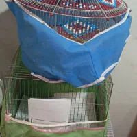 قفس پرنده در سه سایز متفاوت