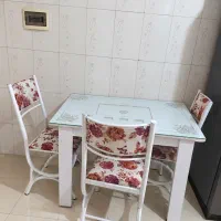 میز ناهار خوری سالم