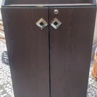 جاکفشی سالم ام دی اف