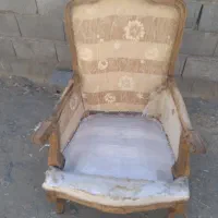 نیروپولیسترکار