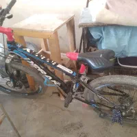 دوچرخه ۲۴ ویوا