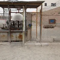 استخدام نیروی کار