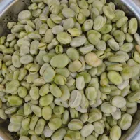 باقالی سبز و شوید خشک