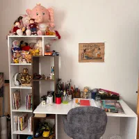 میز همراه با قفسه کتاب