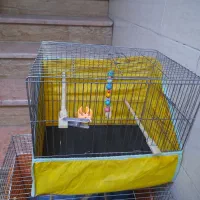 قفس پرنده|لوازم جانبی حیوانات|تهران, جیحون|دیوار