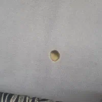 مبل|مبلمان خانگی و میز عسلی|مشهد, همت آباد|دیوار