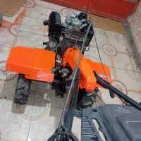 تیلرده اسب دماوند