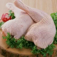 سینه مرغ وشنیسل و ران سایز مرغ شمال|عمده‌فروشی|هشتگرد, فاز ۱ مهستان|دیوار