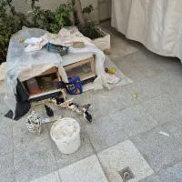 نیمچه گلین پنگونی بهترین نژاد|حیوانات مزرعه|اصفهان, برازنده|دیوار