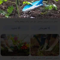 نیازمند کارگر افغان برای کشاورزی