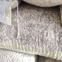 تخمه کدو گوشتی و صدفی|عمده‌فروشی|اقلید, |دیوار