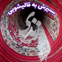 قالیشویی فردیس اهری/ کرایه رایگان/ قالیشویی زندی
