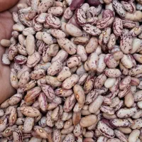 ارزان سرای ،پخش حبوبات|خوردنی و آشامیدنی|تهران, حسن‌آباد|دیوار