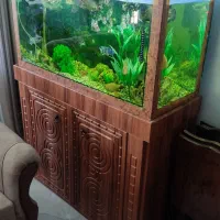 آکواریوم همراه کلبه وماهی ومطعلقات|ماهی|ضیاء آباد, |دیوار