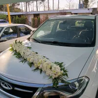 اجاره ماشین عروس با راننده|خدمات پذیرایی، مراسم|کرج, فاز ۲ مهرشهر|دیوار