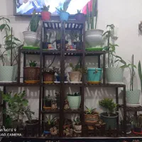 سلام  پایه ی گل فروشی