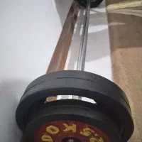 میل هالتر و ۱۵ کیلو وزنه