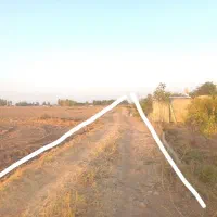 فروش زمین کشاورزی آبی|فروش دفتر صنعتی، کشاورزی، تجاری|بهار, |دیوار