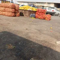 اجتماعی|فعالیت داوطلبانه تحقیقاتی|زابل, |دیوار