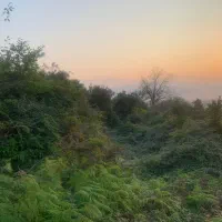 فروش زمین بهترین لوکیشن شیردارکلا