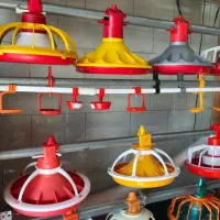 تجهیزات مرغداری خودتون رو بدون واسطه از ما بخرید