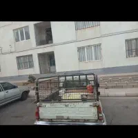 پیکان وانت|خودرو سواری و وانت|پرند, فاز ۶|دیوار